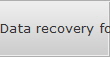 Data recovery for Indiana data